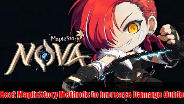 Maplestory What Does Dmg Do
